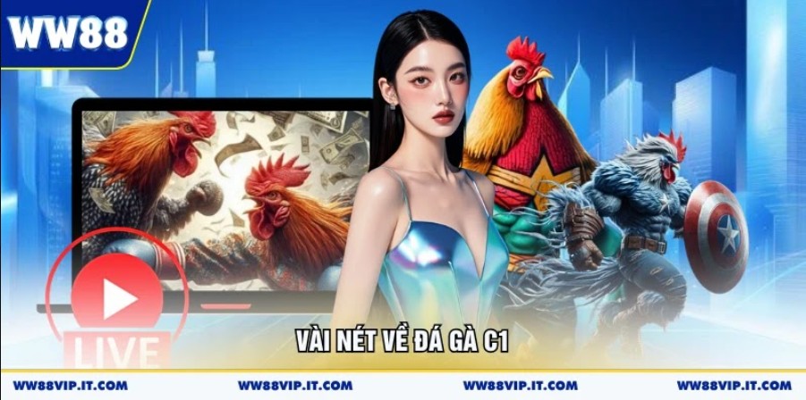 Đá Gà C1 Sân Chơi Quy Tụ Chiến Kê Xuất Sắc Bậc Nhất Vài nét về đá gà C1